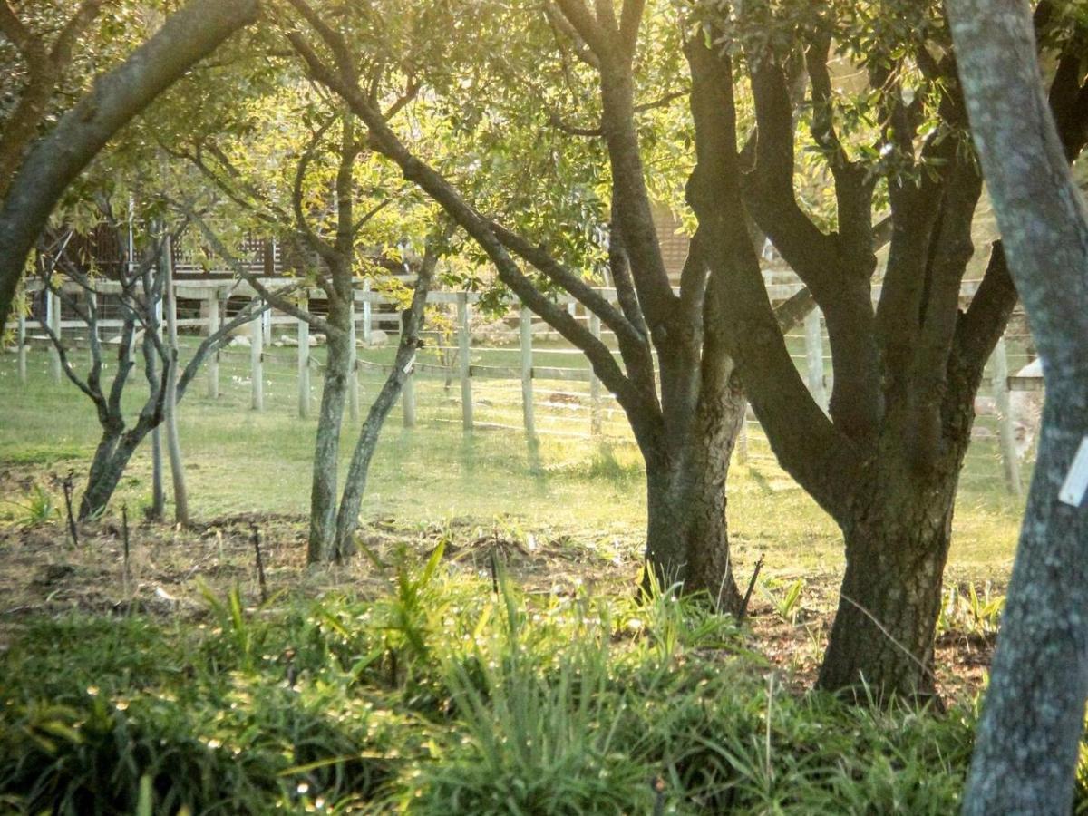 Place Of Sonlight Swellendam Exterior foto